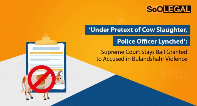 ‘Under Pretext of Cow Slaughter, Police Officer Lynched’: Supreme Court Stays Bail Granted to Accused in Bulandshahr Violence