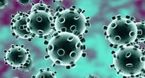 Corona virus: India urges China to allow the return of Indian students from Wuhan