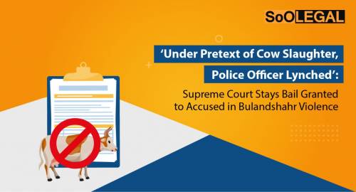 ‘Under Pretext of Cow Slaughter, Police Officer Lynched’: Supreme Court Stays Bail Granted to Accused in Bulandshahr Violence