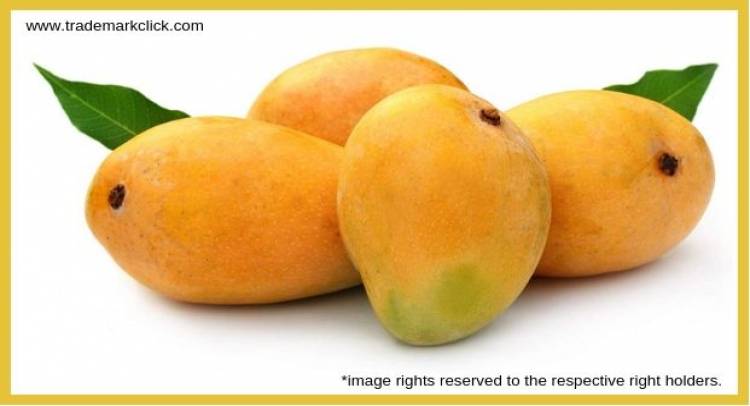 Alphonso Mangoes Fight Uphill Battle against Similar Looking Karnataka Cousin