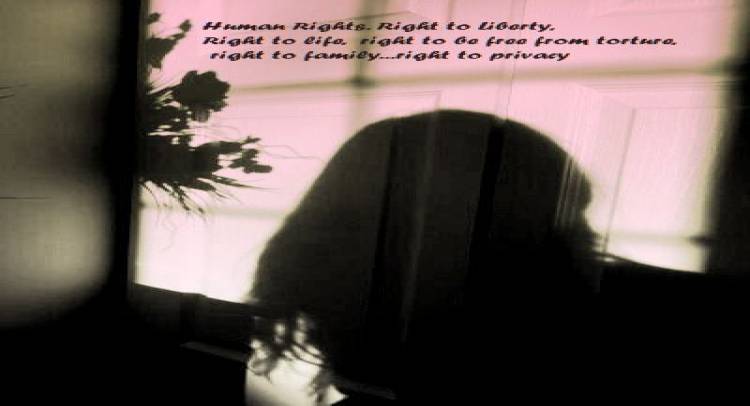 THE NEXT CONSTITUTION.