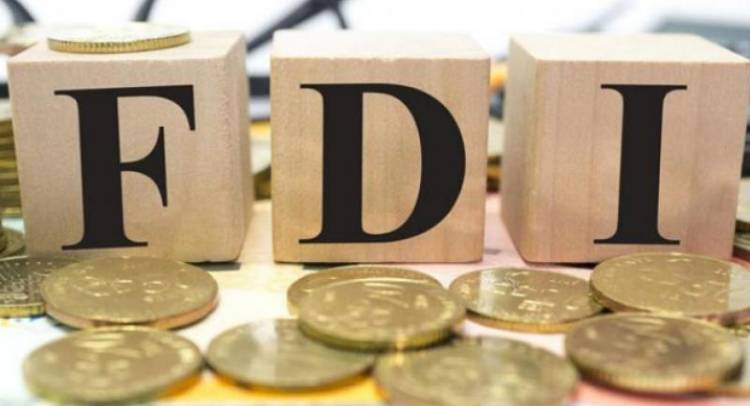 FDI Reporting Process Simplified
