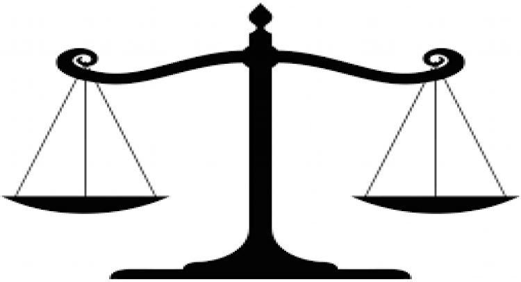 Trial court should rely on print out of order uploaded on official website of high court.