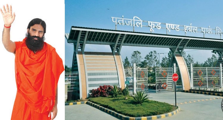 Allahabad HC Condemns UP Government for chopping thousands of Trees