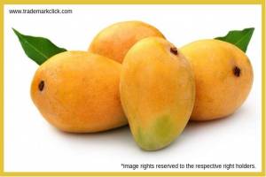 Alphonso Mangoes Fight Uphill Battle against Similar Looking Karnataka Cousin