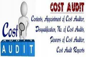 Cost Audit