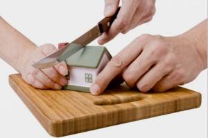 Division of Family Assets - Relinquishment Deed – NOC by Coparceners