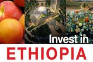 Legal requirements to invest in Ethiopia and rights of investors
