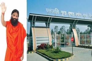 Allahabad HC Condemns UP Government for chopping thousands of Trees