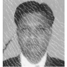 Mukul Manohar