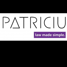 Patriciu law firm 