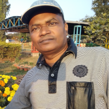 Bipin Bihari Dev Ratna